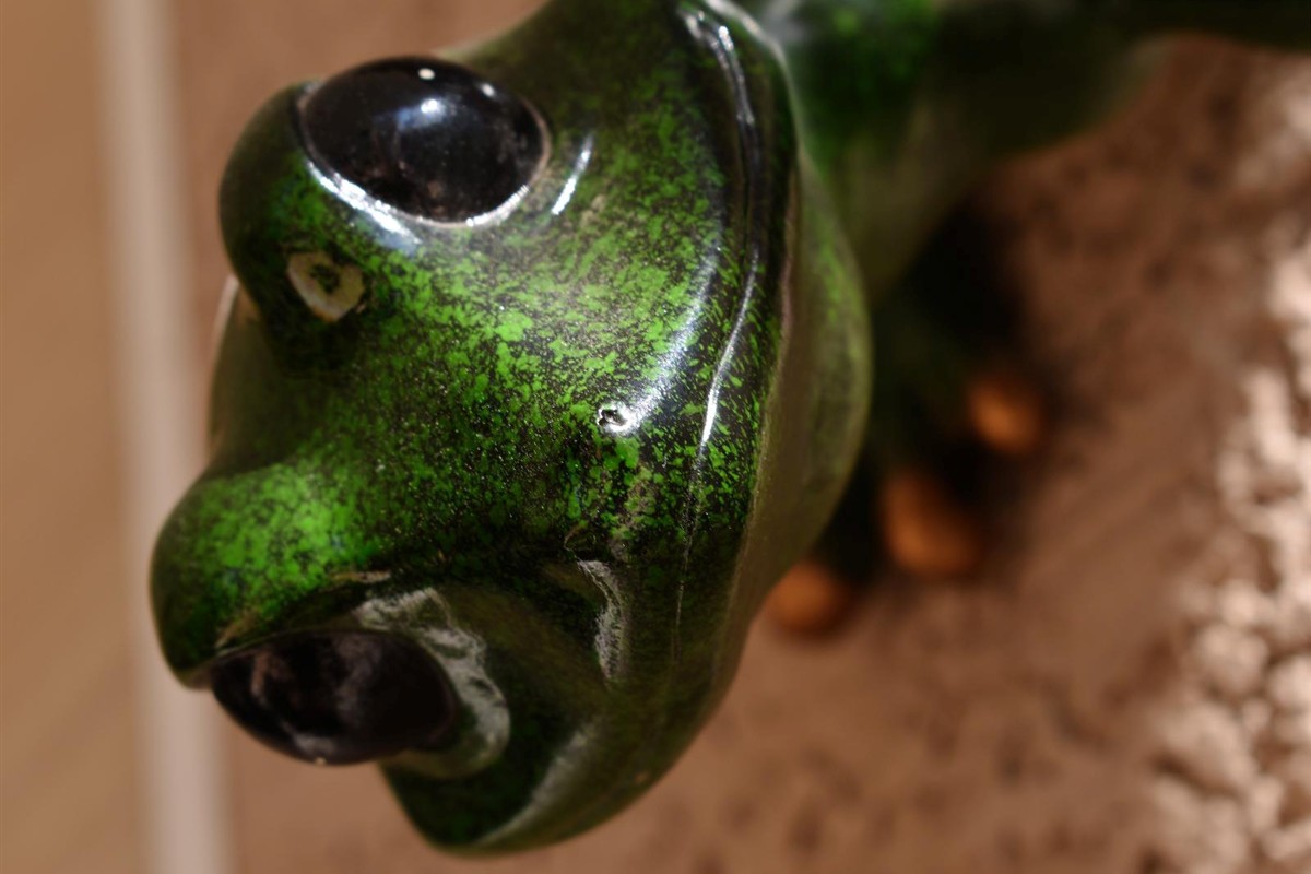 Kai Moreno celebrating a goal