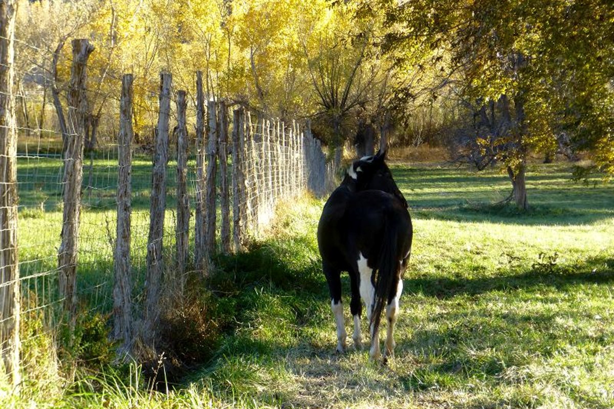 Kai Moreno with teammates